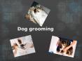 Dog grooming PowerPoint PPT Presentation
