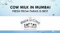 Cow milk in mumbai – fresh from farms is best PowerPoint PPT Presentation