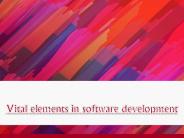 Vital elements in software development