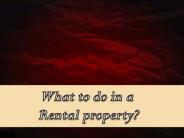 What to do in a Rental property?