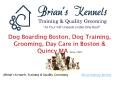 #Dog Training Boston PowerPoint PPT Presentation