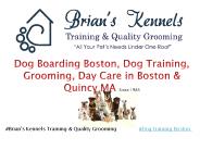#Dog Training Boston