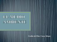 EL MEDIO AMBIENTE