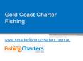 Check Out for Gold Coast Charter Fishing - www.smarterfishingcharters.com.au PowerPoint PPT Presentation