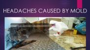 Headaches caused by mold