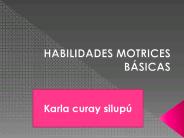 habilidades motrices