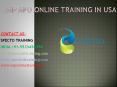 sap apo online training in australia PowerPoint PPT Presentation