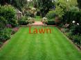 Lawn establishment and management PowerPoint PPT Presentation
