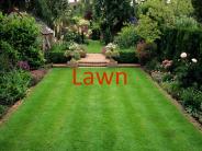 Lawn establishment and management
