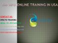 sap apo online training in usa PowerPoint PPT Presentation