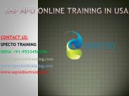 sap apo online training in usa