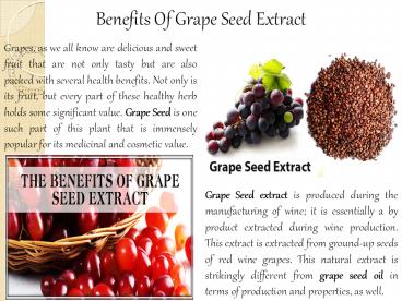Grape Seed Extrac