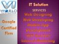 Website Development Company in Noida India-visainfoworld.com (16)