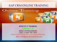 sap crm online training in USA,UK,MALAYSIA,SINGAPORE PowerPoint PPT Presentation