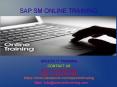 sap sm online training in USA,UK,MALAYSIA,SINGAPORE PowerPoint PPT Presentation