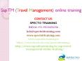 sap tm(travel management)online training in usa PowerPoint PPT Presentation