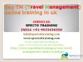 sap tm(travel management)online training in uk PowerPoint PPT Presentation