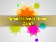 What is Live-In Home Care? PowerPoint PPT Presentation