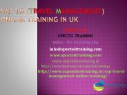 sap tm(travel management)online training in australia