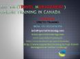 sap tm(travel management)online training in canada PowerPoint PPT Presentation