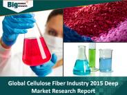 Cellulose Fiber Industry: Detailed Analysis & Research Report