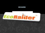 Natural Bed Bug Killer (1)