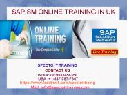 sap sm online training in usa