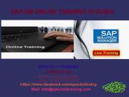sap sm online training in duabai