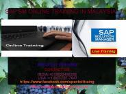 sap sm online training in malaysia