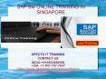 sap sm online training in singapore PowerPoint PPT Presentation