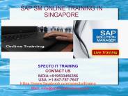 sap sm online training in singapore