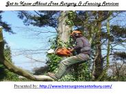 Get to Know About Tree Surgery & Fencing Services