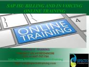 Sap ISU Billing and Invoicing OnlineTraining in UK