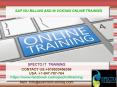 sap isu billing and invoicing online training in MUMBAI PowerPoint PPT Presentation