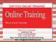 sap fico online training in bangalore PowerPoint PPT Presentation