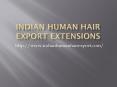 Indian Human Hair export extensions