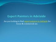 Expert Painters in Adelaide