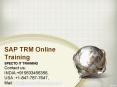 SAP TRM Online Training in MIDDLEEAST PowerPoint PPT Presentation