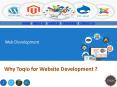 Why Toqio for Website Development? PowerPoint PPT Presentation