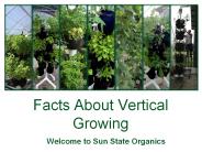 Facts about Vertical Growing