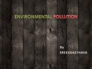 Environment pollution