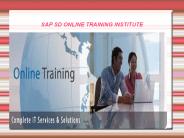 sap sd online training in institute in uk