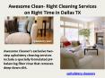 Upholstery Cleaners PowerPoint PPT Presentation