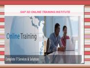 sap sd online training institute in london