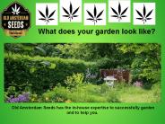 What does your garden look like?