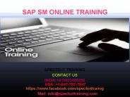 sap sm online training in chennai
