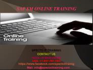 sap sm online training institute in bangalore