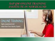 sap qm online training institute in Newzeland