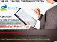 sap hr us payroll online training in saudi arabia PowerPoint PPT Presentation
