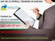 sap hr us payroll online training in saudi arabia